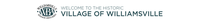 Village of Williamsville Business & Professional Association, Inc.