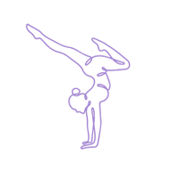 New Vibe Gymnastics LLC