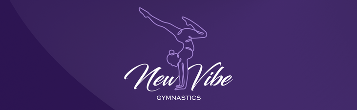 New Vibe Gymnastics LLC