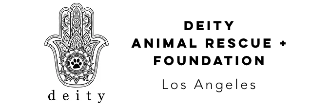 Deity Animal Rescue