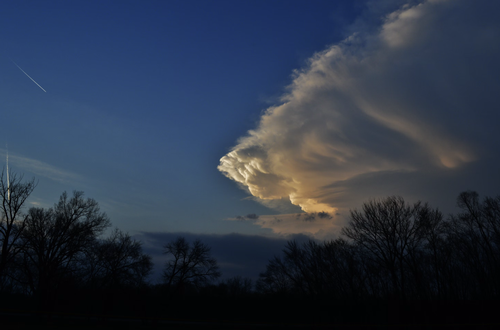 Gallery Image Screenshot%202025-06-15%20at%2012.50.50andX8239.PM.png