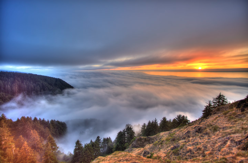 Gallery Image Screenshot%202025-06-15%20at%2012.51.14andX8239.PM.png