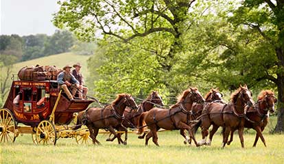 Gallery Image stagecoach-two-drivers-field-green-414x240.jpg