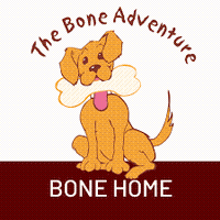 The Bone Adventure, Inc.