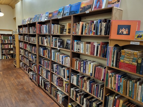 Gallery Image Hedgehog%202.jpg