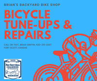 the backyard bike shop