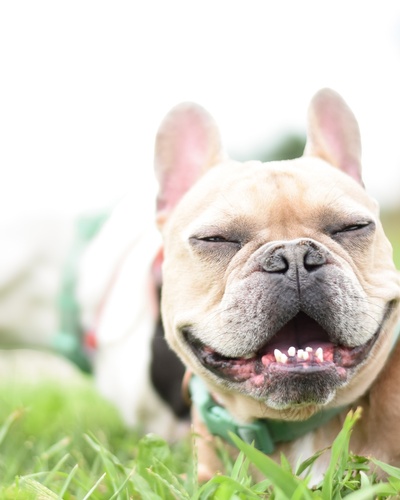 Gallery Image os28.jpg