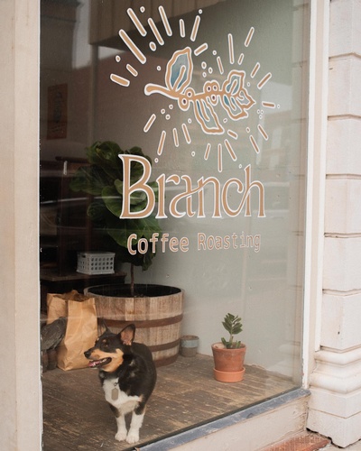 Gallery Image Branch.jpg