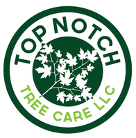 Top Notch Tree Care LLC