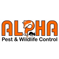Alpha Pest & Wildlife Control
