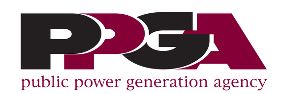 Public Power Generation Agency