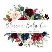 Blossom Baby Co, LLC