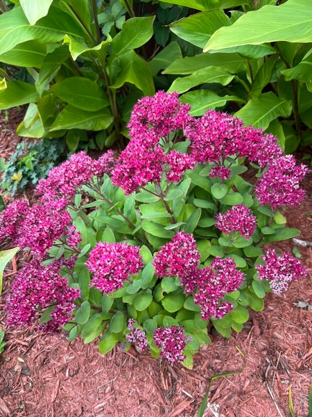 Gallery Image E4D558F7-3DDC-4660-B8CE-E5149B2F3A10_1_105_c.jpeg Gallery Image E4D558F7-3DDC-4660-B8CE-E5149B2F3A10_1_105_c.jpeg