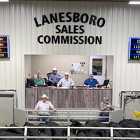 Lanesboro Sales Commission