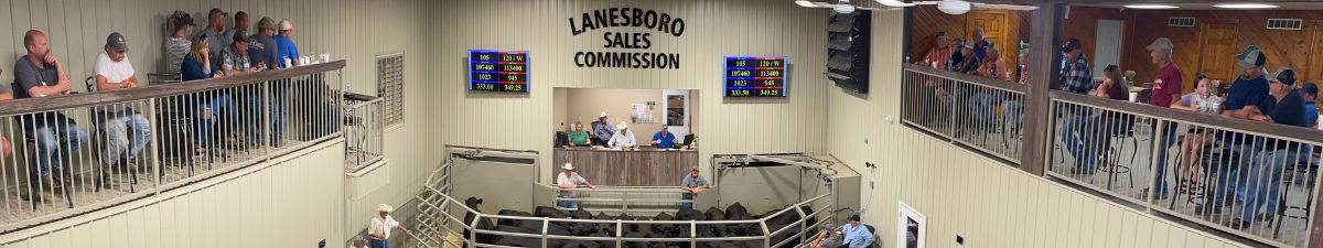 Lanesboro Sales Commission