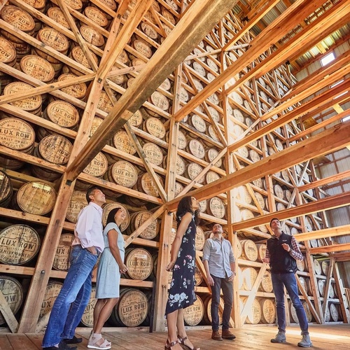 Gallery Image lux%20row%202.jpg