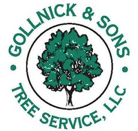 Gollnick & Sons Tree Service