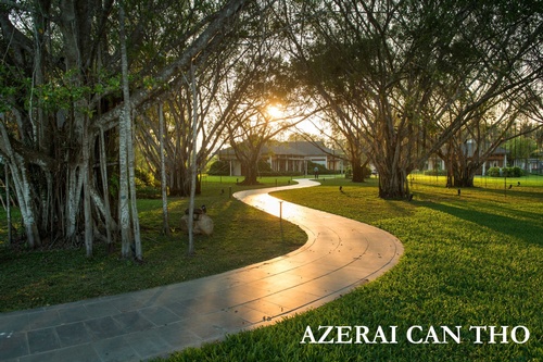 Gallery Image AZCT%202.jpg Gallery Image AZCT%202.jpg