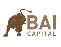 BAI Consulting LLC