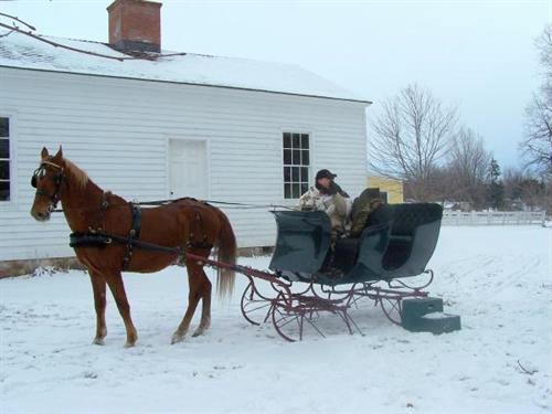 Sleigh rides in the winter