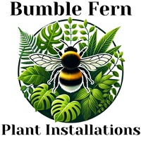 Bumble Fern