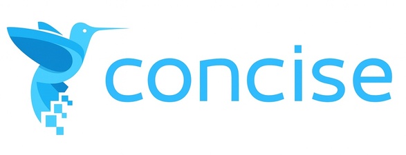 Concise Computer Consulting