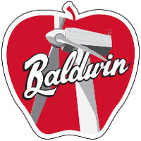BALDWIN ENERGY LLC