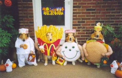 Gallery Image Halloween%20Zaato.jpg Gallery Image Halloween%20Zaato.jpg