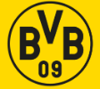 BVB Americas, Inc. (Borussia Dortmund)