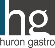 Huron Gastro Endoscopy Center LLC