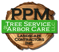 PPM Tree Service & Arbor Care, LLC