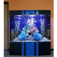 Water Works Aquariums 