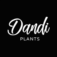 Dandi Plants