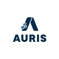 Auris, Inc. - Payroll and HCM software and services - Purpose Built for Small Businesses
