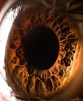 Marston Optometry