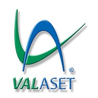 Valaset Services LLC