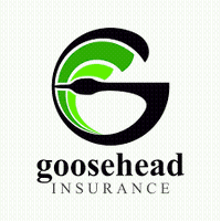Goosehead Insurance - Almaliky Insurance Agency 