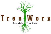 Tree Worx