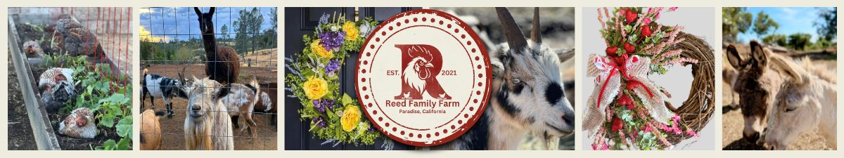 Reed Family Farm