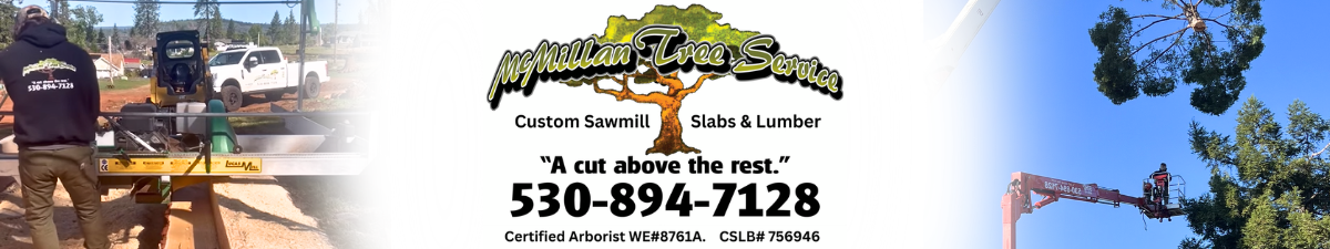 McMillan Tree Service