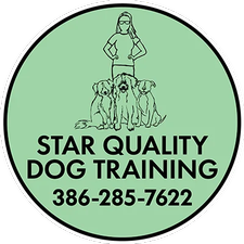 Star Quality Dog Training Star Quality Dog Training