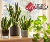 Barton & Barton Landscaping
