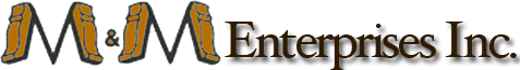 M & M Enterprises of Daytona LLC