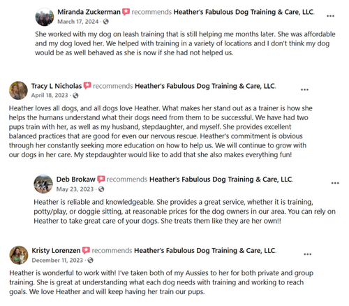 Gallery Image Testimonials.png
