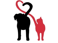 Above & Beyond Pet Care Services Above & Beyond Pet Care Services