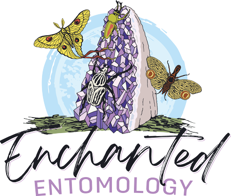 Enchanted Entomology