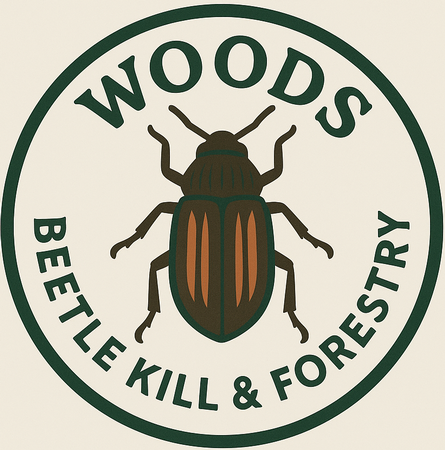 Woods Beetle Kill & Forestry