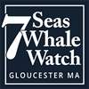7 Seas Whale Watch