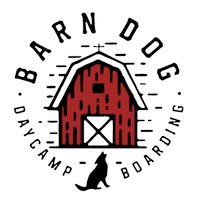 Barndog Day Camp LLC