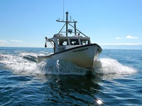 Miss Meredith Fishing Charters